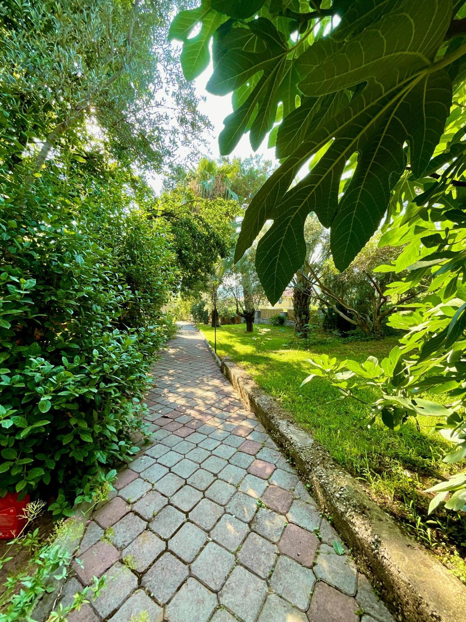 Gunes Boutique Otel فتحية المظهر الخارجي الصورة